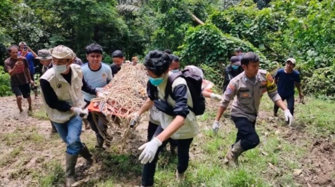 Harimau Sumatera masuk kandang jebak BKSDA Sumbar di Kabupaten Agam. [Dok. Antara]