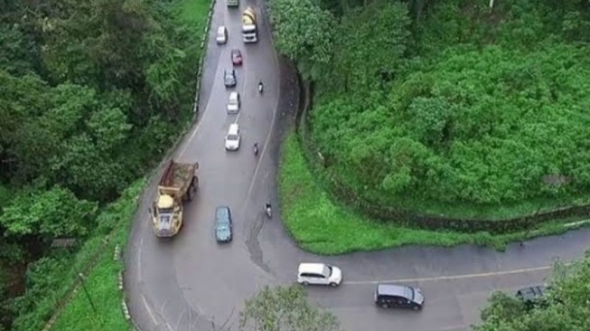 Kapan Pembebasan Hutan Lindung Flyover Sitinjau Lauik Selesai? Ini Penjelasan Bappeda Sumbar