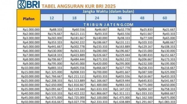 Tabel KUR BRI 2025 1 juta - 50 juta [BRI]