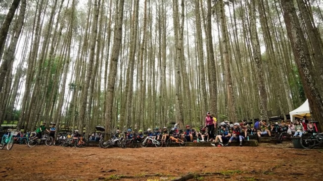 Wisata di Jogja bernuansa alam, Hutan Pinus Mangunan yang terletak di Bantul. (Instgram)