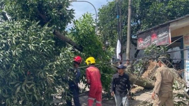 Batam Dihantam Puting Beliung: BMKG Beri Peringatan Dini