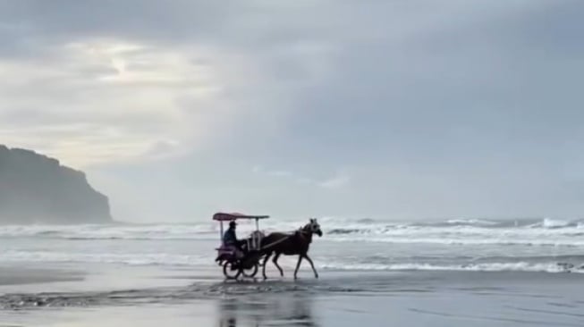 Seekor kuda andong melintasi bibir Pantai Parangtritis di Bantul. (Twitter)