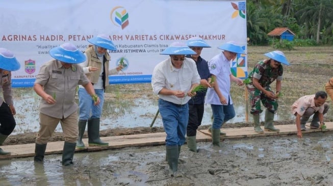 Wagub Jabar Erwan Setiawan Panen Padi Cikawasen