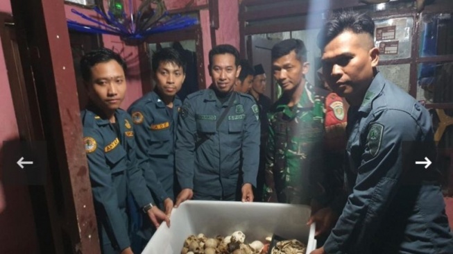 Petugas Gakkum Kemenhut memperlihatkan barang bukti perdagangan TSL dilindungi ketika mengamankan pelaku di Kabupaten Sukabumi, Jawa Barat, Selasa (18/3/2025). ANTARA/HO-Kemenhut 