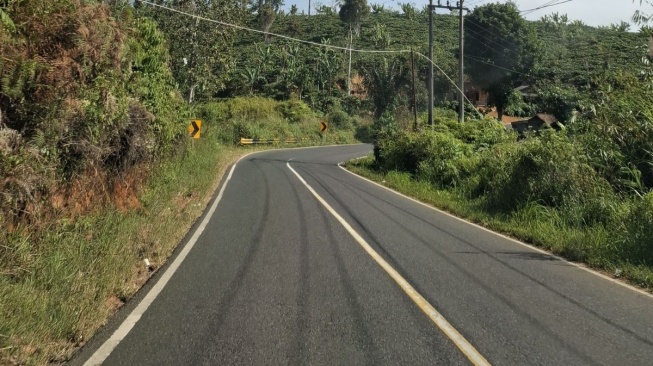 Info Mudik 2025: Daftar Jalan Rawan Longsor di Lampung