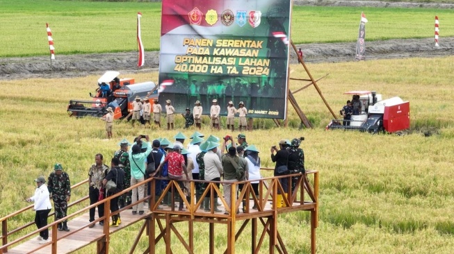 Komitmen Nyata Menuju Swasembada Pangan: Panen Raya Serentak Optimasi Lahan di Merauke