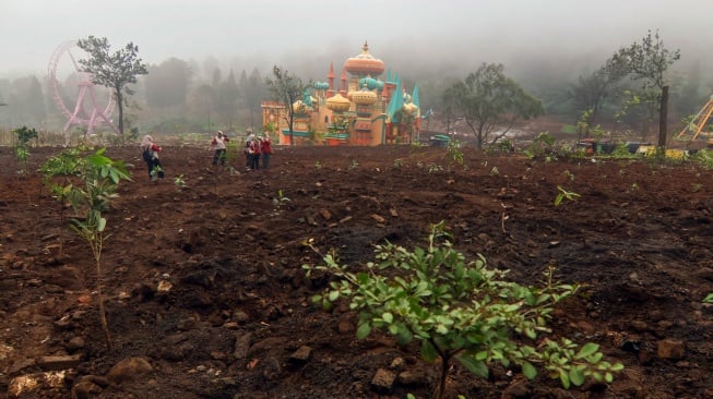 Sejumlah petugas Dinas Perkebunan Provinsi Jawa Barat melakukan penanaman pohon di kawasan Hibisc Fantasy, Puncak, Kabupaten Bogor, Jawa Barat, Jumat (21/3/2025). [ANTARA FOTO/Yulius Satria Wijaya/foc]