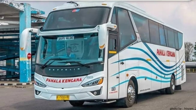 Harga Tiket Bus Pahala Kencana Terbaru untuk Mudik Lebaran 2025: Jakarta-Surabaya Mulai Rp 310.000!