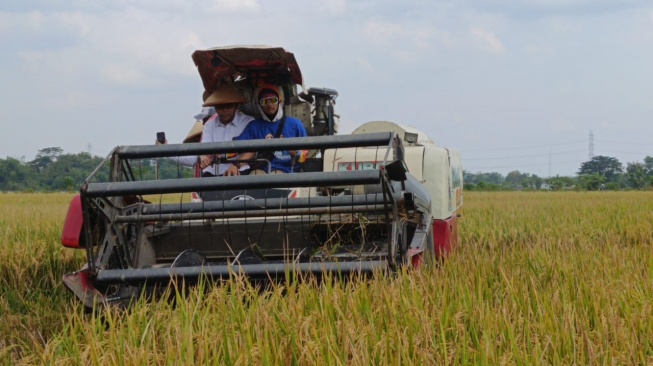 Wakil Direktur Utama Perum Bulog, Marga Taufiq turun langsung ke Kabupaten Klaten, Jawa Tengah untuk memantau penyerapan gabah kering panen (GKP) dari petani. (Dok: Restu Fadilah/Suara.com)