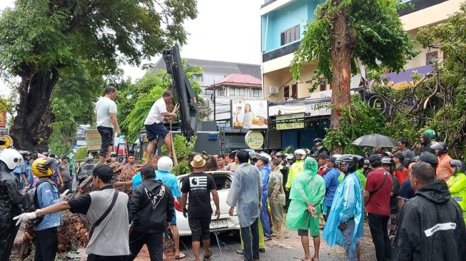 Pohon tumbang di wilayah Kuta, Bali yang tewaskan seorang pengendara pada Sabtu (24/3/2025) [Suara.com/Eviera Paramita Sandi] 