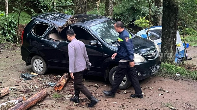 Tewaskan Bocah 12 Tahun, Ini Kronologi Pohon Tumbang di Bumi Sekipan Tawangmangu