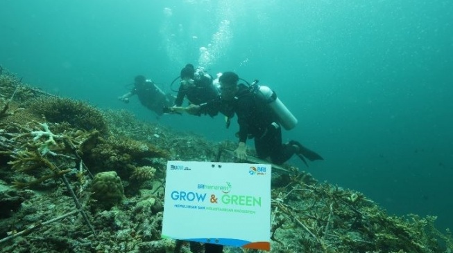 BRI Menanam, Laut pun Senang: Upaya Nyata Jaga Ekosistem Gili Matra Demi Masa Depan