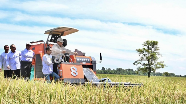 Demi Berantas Tikus di Sawah Majalengka, Prabowo Borong 1.000 Ekor Burung Hantu