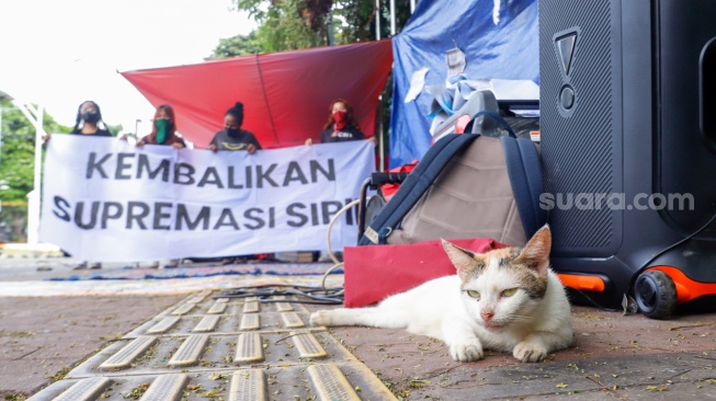 Sejumlah aktivis beraktivitas di dalam tenda dalam kegiatan Piknik Melawan di Depan Gerbang Pancasila DPR RI, Jakarta, Senin (21/4/2025). [Suara.com/Alfian Winanto]