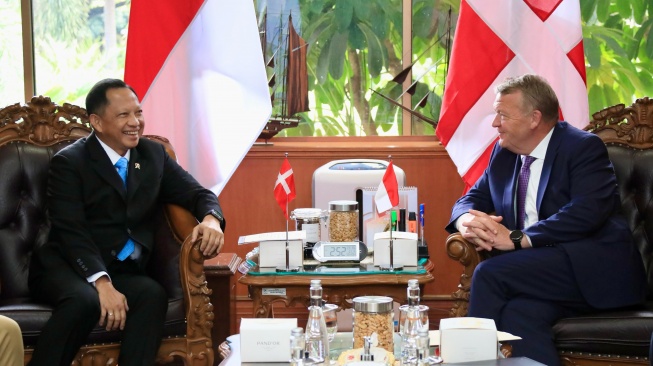 Perkuat Pemadam Kebakaran, Kemendagri Bakal Jalin Kerja Sama dengan Denmark