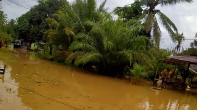 Sembilan Keluarga di Sepaku Tolak Kompensasi Proyek IKN: 'Harga Tidak Adil!