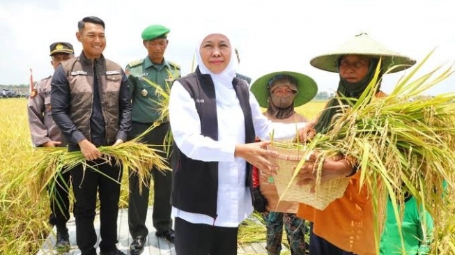 Gubernur Jawa Timur Khofifah Indar Parawansa hadir langsung saat panen Raya Jawa Timur (Dok: Pemprov Jatim)
