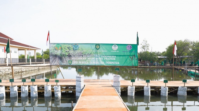 Penanaman mangrove di kawasan pesisir Tanjung Pasir, Teluk Naga, Tangerang, Sabtu (3/5/2025). (Foto: Dok Kemen LHK).