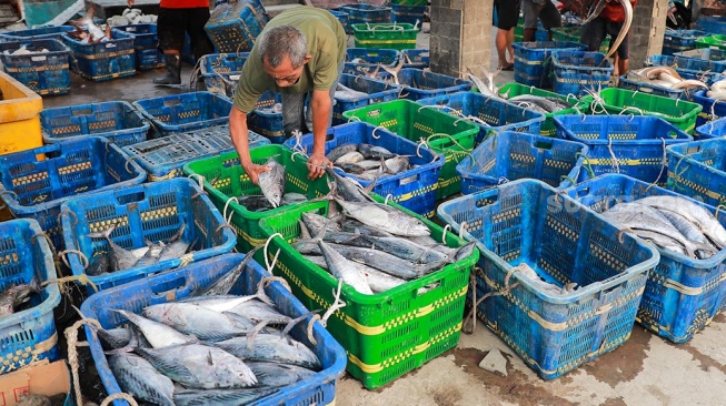Pekerja melakukan bongkar muat ikan di Dermaga Pelabuhan Muara Angke, Jakarta, Selasa (6/5/2025). [Suara.com/Alfian Winanto]
