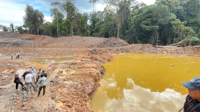 Unmul Desak Penegakan Hukum Tambang Ilegal di Hutan Pendidikan