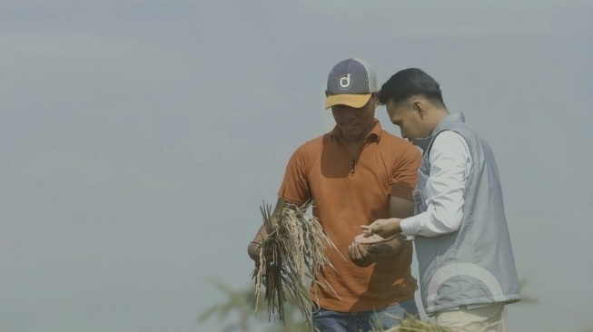Bulog akan terus melanjutkan penyerapan hasil panen petani secara optimal guna memastikan harga gabah tetap menguntungkan petani (Dok: Bulog)