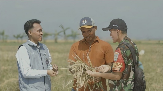 Stok Bulog Tembus 3,6 Juta Ton: Serapan Tembus 2.000.524 Ton Setara Beras