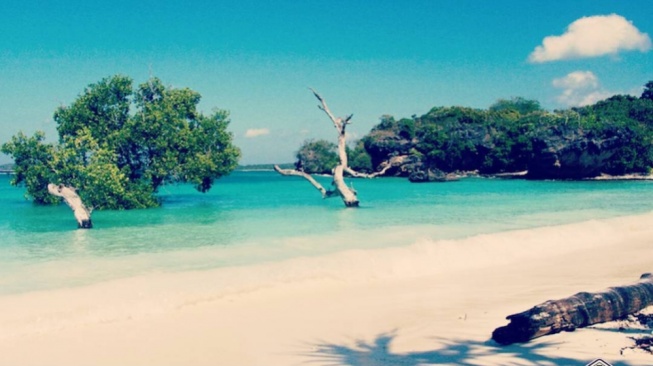 Pantai Oeseli, Persona Pantai Berpasir Putih di Nusa Tenggara Timur