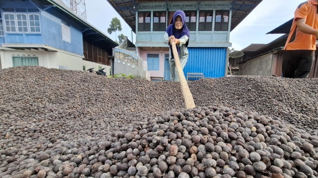 Koperasi Merah Putih di Lampung Diharapkan Jadi Mesin Pendorong Ekonomi Desa