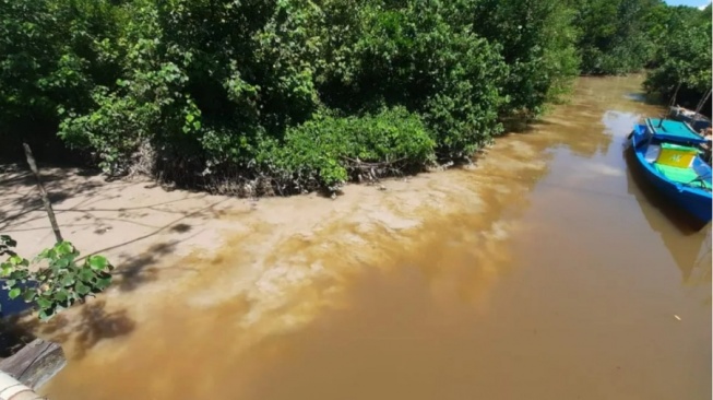 Sungai Pangkalan Buton (ANTARA/Rizal Komaruddin)