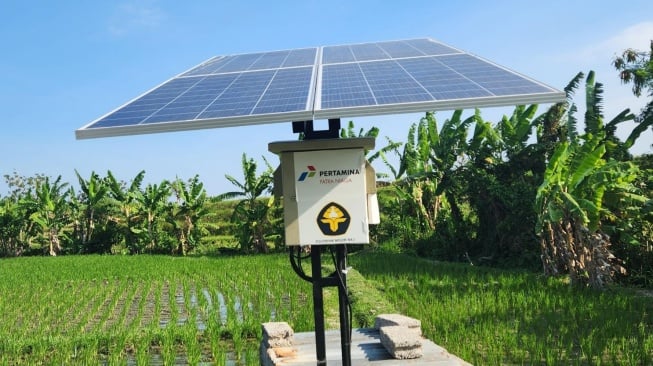Pertamina Kembangkan Energi Transisi, Dorong Kesejahteraan 408 Petani di Desa Uma Palak
