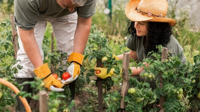 9 Tips Berkebun Menurut Para Orang Tua, Terbukti Manjur Sampai Sekarang