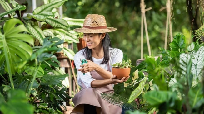 Ilustrasi wanita sedang berkebun (Freepik/jcomp)