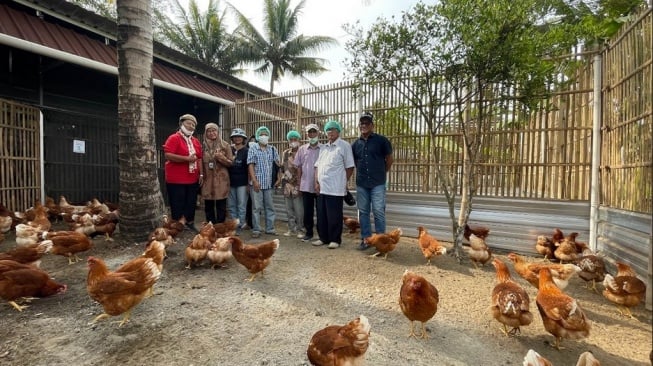 Salah satu inisiatif lokal inspiratif dari Garrya Bianti Yogyakarta dalam program “Eggcellent Future: Empowering Communities Through Cage-Free Farming" (Dok: Banyan Group)