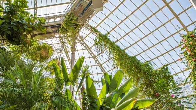 IndonesiaBelanda Jalin Kolaborasi Hortikultura Berbasis 'Greenhouse'