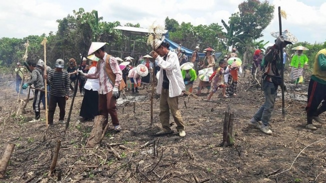Ilustrasi masyarakat suku Dayak sedang gotong royong menanam padi (Istimewa)