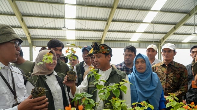 Jadi Pusat Penghijauan di NTB, Menhut Targetkan 5 Juta Bibit Persemaian di Mandalika