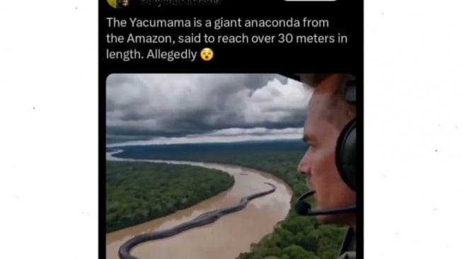 Tangkapan layar unggahan penampakan Anaconda Raksasa di Sungai Amazon. [Dok. Antara]
