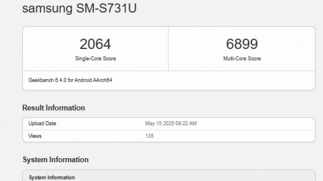 Samsung Galaxy S25 FE muncul di platform benchmark. (Geekbench)