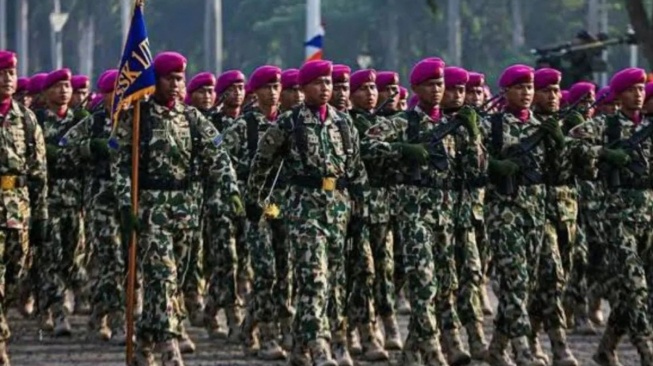 CEK FAKTA: TNI Tewaskan 1.200 Tentara Israel dalam 24 Jam, Benarkah?