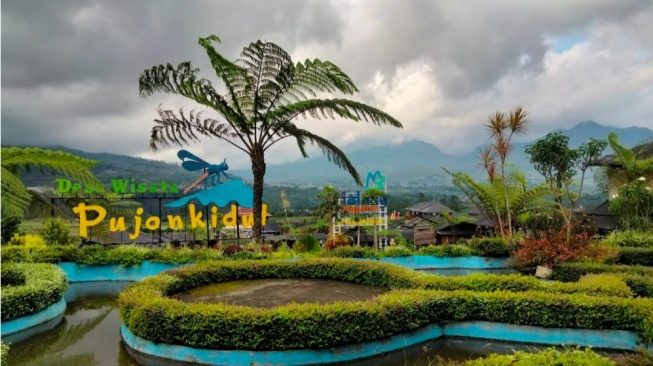 Cafe Sawah Pujon Kidul: Oase Pedesaan dengan Pemandangan Memukau di Malang
