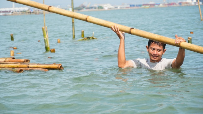 Nelayan, DMC, dan Wahana Lingkungan Hidup Indonesia (WALHI) Jawa Tengah bergotong royong menancapkan bambu rumpon di bibir pantai Tambakrejo, sebuah kampung nelayan di Semarang Utara pada Rabu (21/5/2025). [Istimewa]