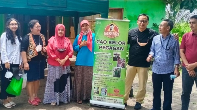 Dengan KUR BRI, Siti Fatimah Mampu Mengeksplorasi Potensi Daun Kelor