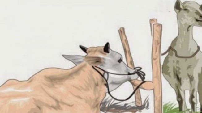 Bolehkah Kurban Patungan Lebih dari 7 Orang? Ini Penjelasan Lengkapnya Sesuai Syariat Islam!