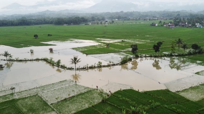 Foto udara lahan pertanian yang terendam banjir di Kecamatan Panumbangan, Kabupaten Ciamis, Jawa Barat, Kamis (22/5/2025). [ANTARA FOTO/Adeng Bustomi/Spt]