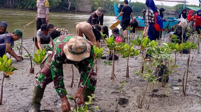 Kegiatan penanaman mangrove di Desa Pidodo Kulon, Kecamatan Patebon, Kabupaten Kendal, Jawa Tengah.(Dokumentasi warga)