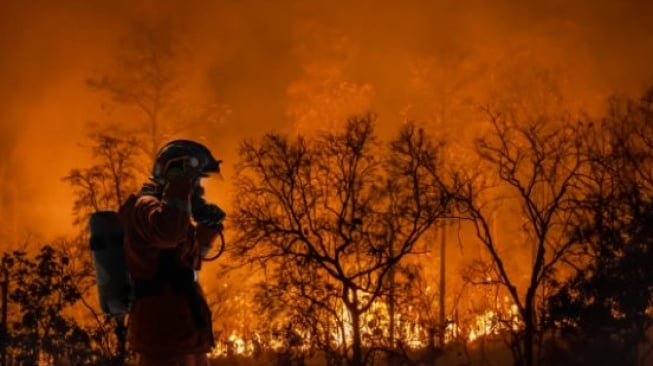 kebakaran hutan dan lahan di Sumatera Selatan