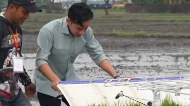 Wapres Gibran Panen Kritikan Usai Tanam Padi Sambil Berjalan Maju, Padahal Ini Alasannya