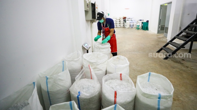 Pekerja mengolah sampah botol plastik di Waste Treatment Plant Gelora Bung Karno, Jakarta, Selasa (27/5/2025). [Suara.com/Alfian Winanto]