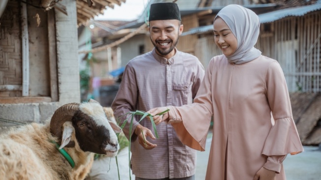 Mengapa Hewan Kurban Harus Sapi, Kambing, Kerbau, dan Unta? Ini Penjelasannya