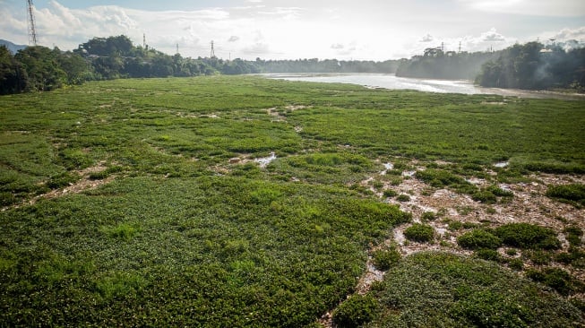 Kondisi aliran sungai Citarum yang dipenuhi sampah dan eceng gondok di Batujajar, Kabupaten Bandung Barat, Jawa Barat, Selasa (27/5/2025). [ANTARA FOTO/Abdan Syakura/bar]